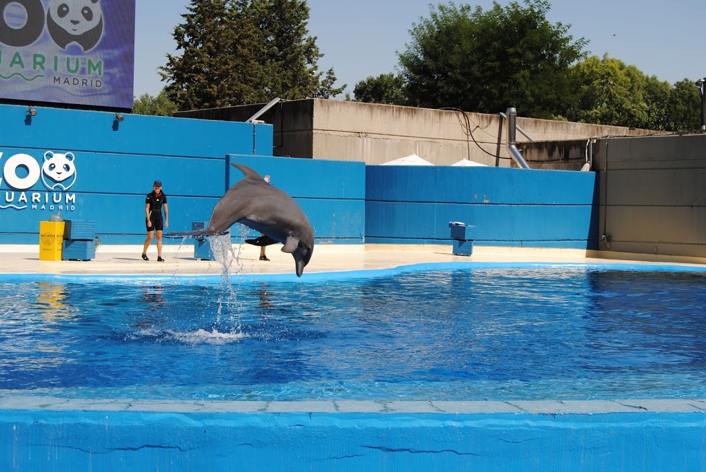 Zoo Aquarium de Madrid - Foto 1