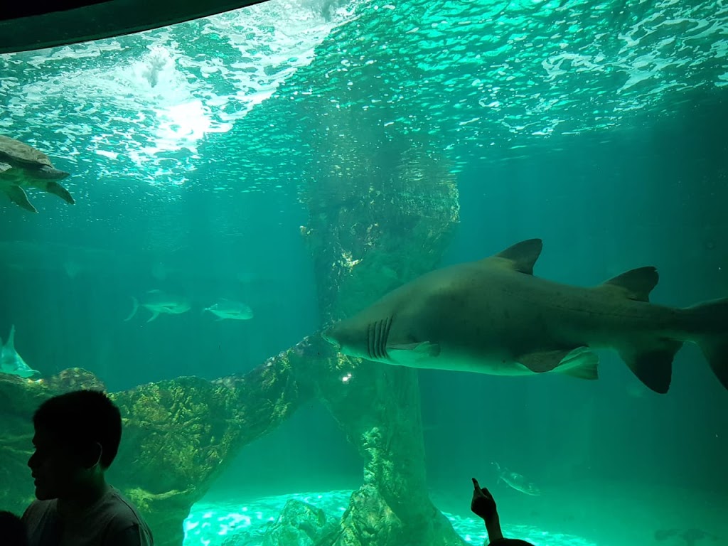 Zoo Aquarium de Madrid - Foto 1