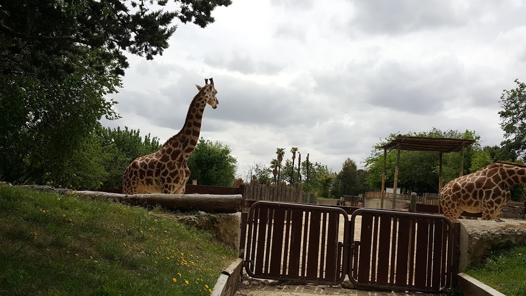 Zoo Aquarium de Madrid - Foto 1