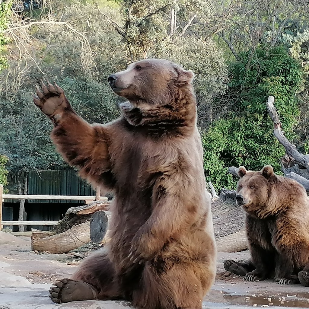 Zoo Aquarium de Madrid