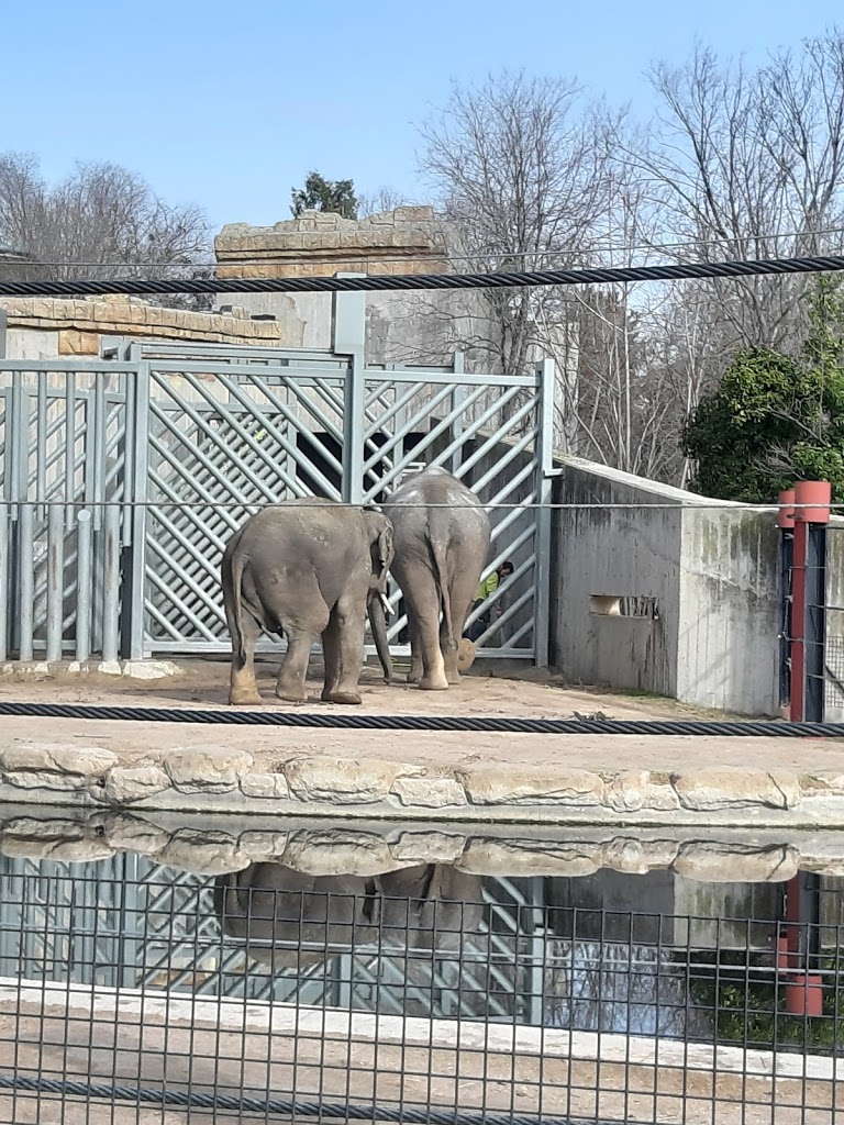 Zoo Aquarium de Madrid - Foto 1