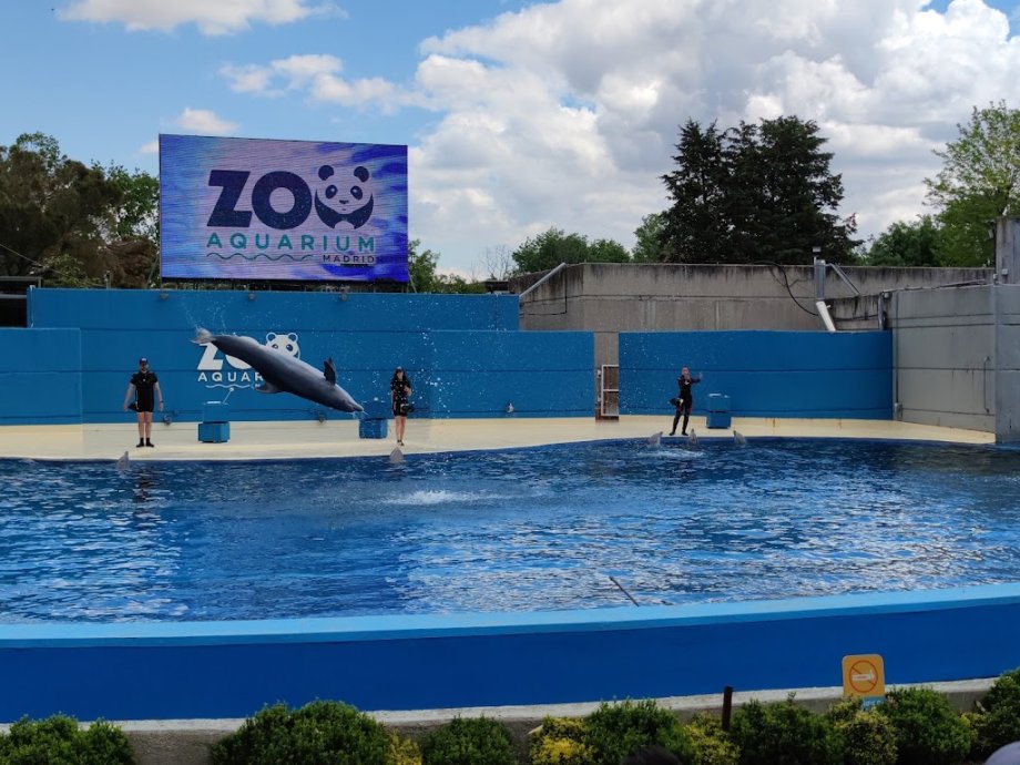 Zoo Aquarium de Madrid - Foto 14