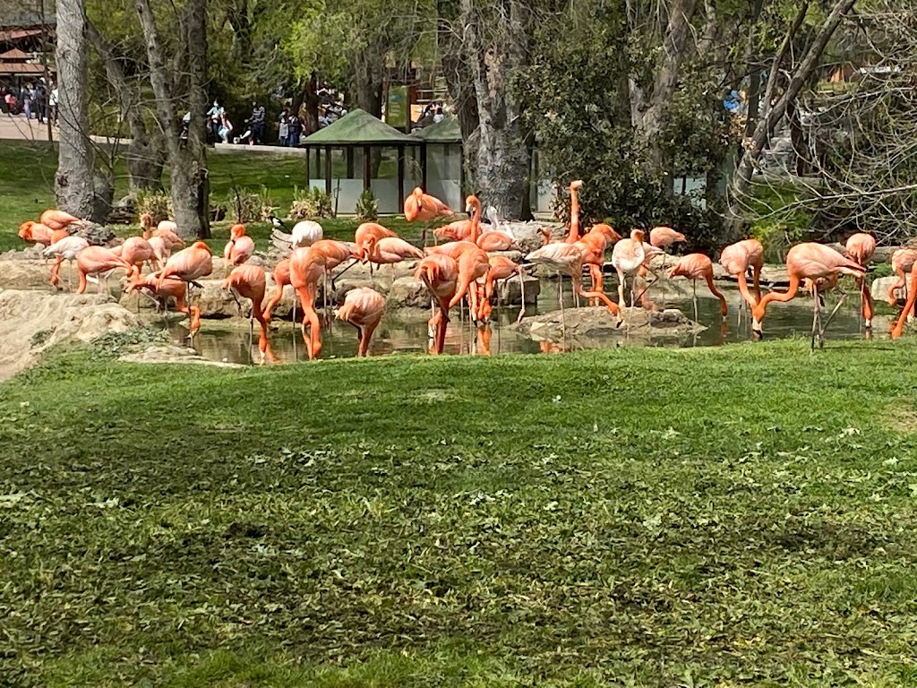 Zoo Aquarium de Madrid - Foto 1