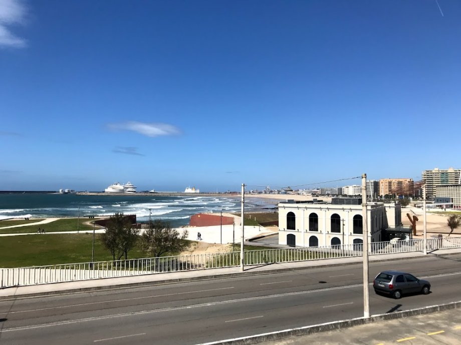 Sea Life Porto - Foto 3