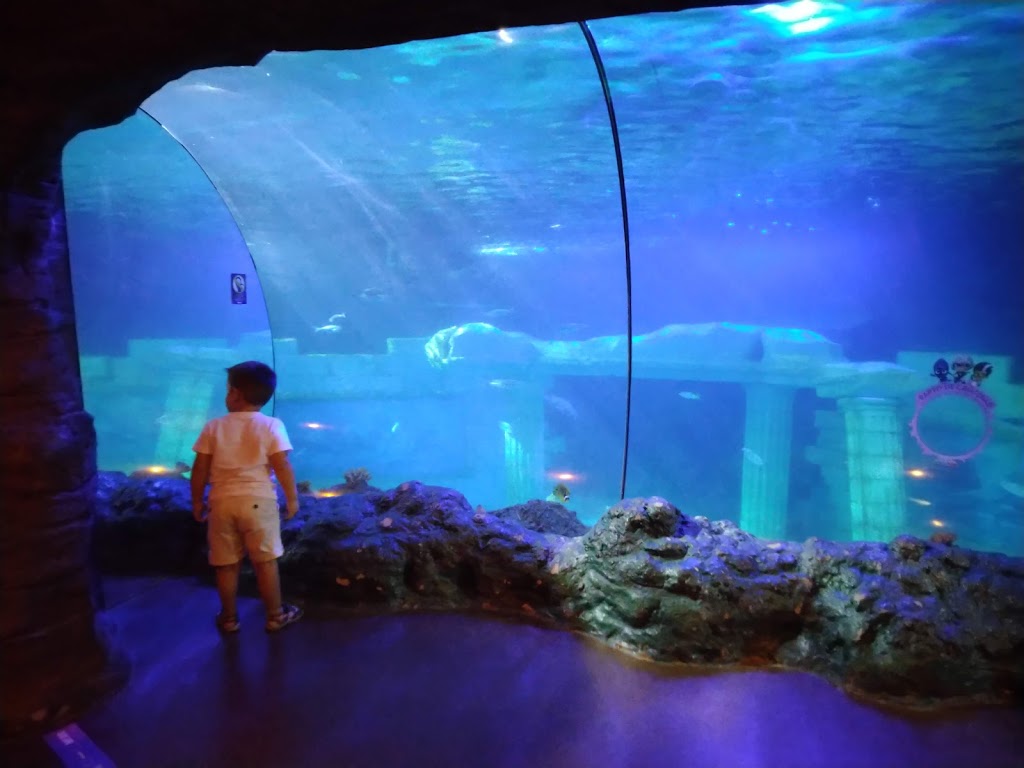 Sea Life Porto - Foto 1