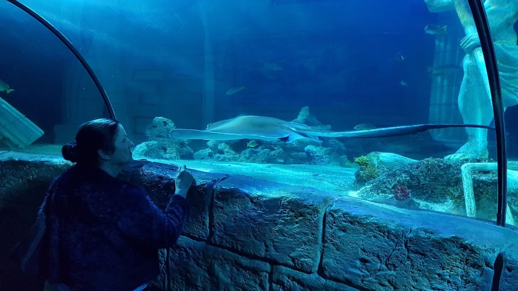 Sea Life Porto - Foto 1