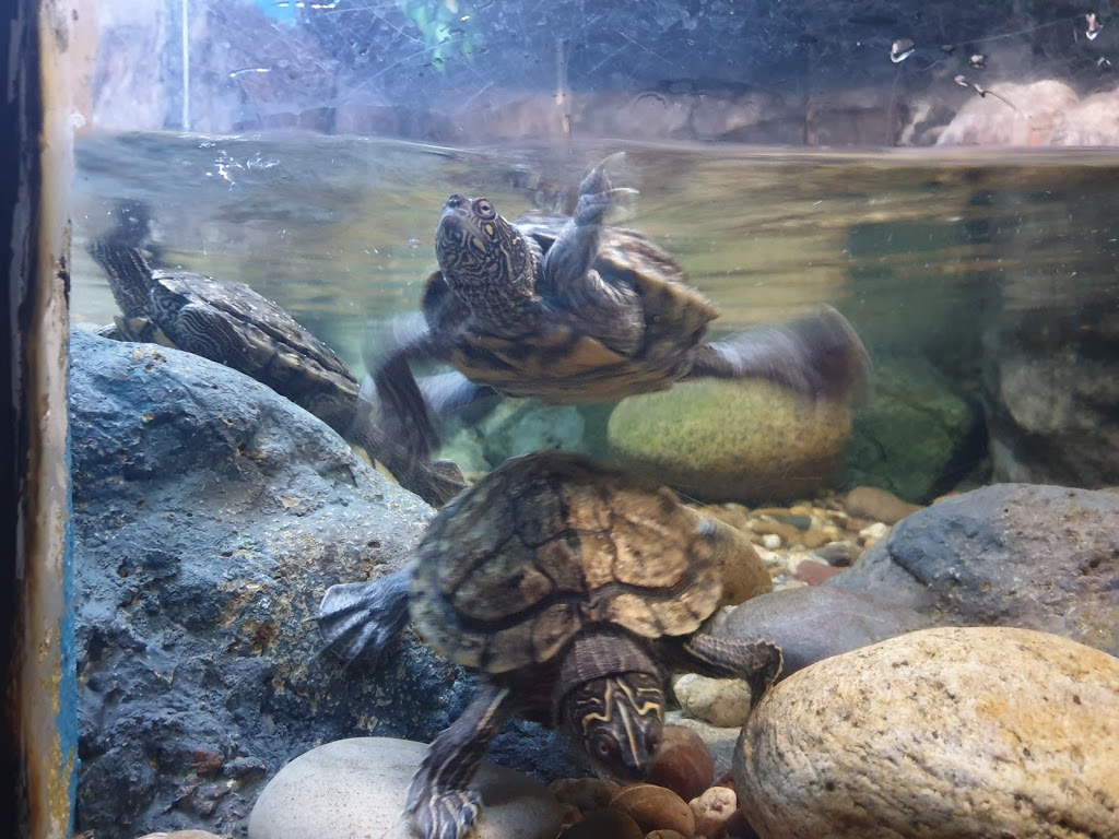 Sea Life Porto - Foto 1