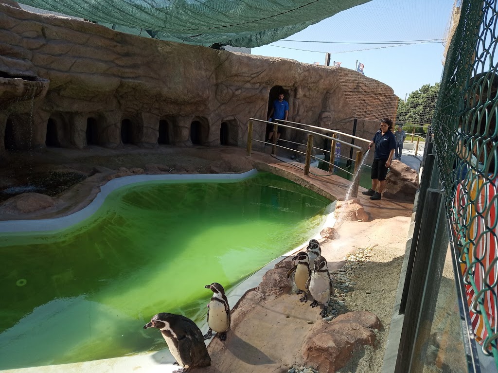 Sea Life Porto - Foto 1