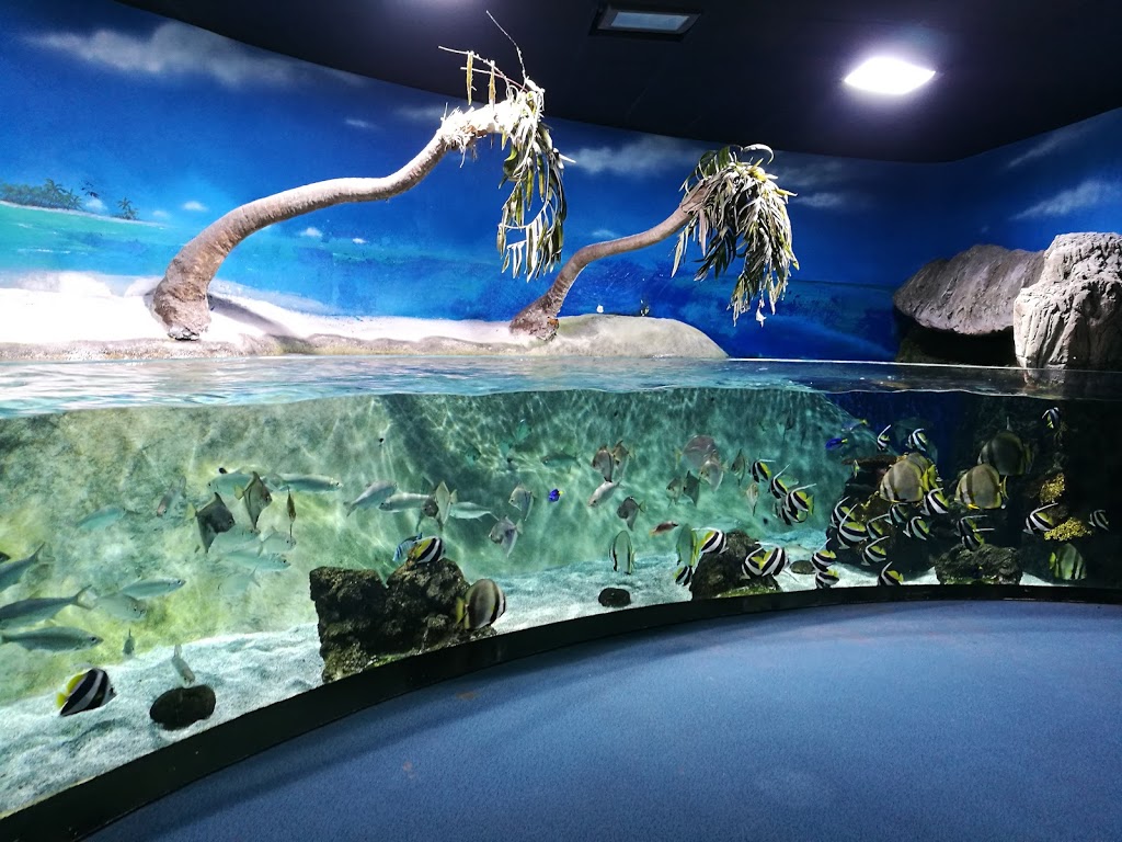 BIOPARC Acuario de Gijón 8