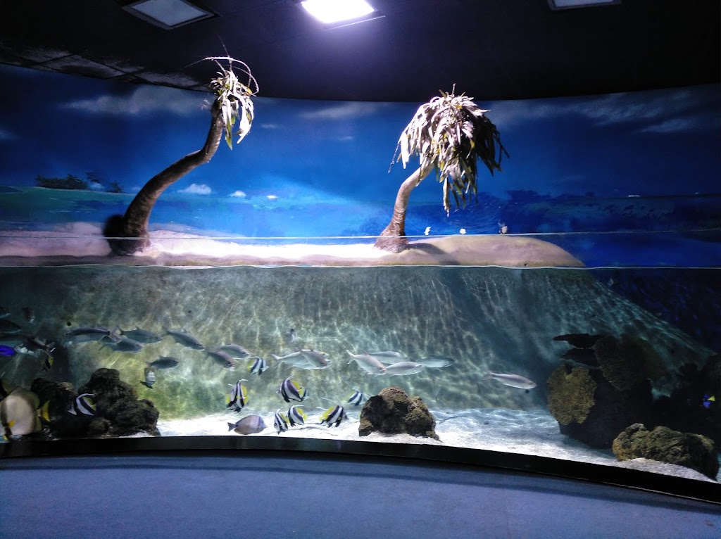 BIOPARC Acuario de Gijón 3