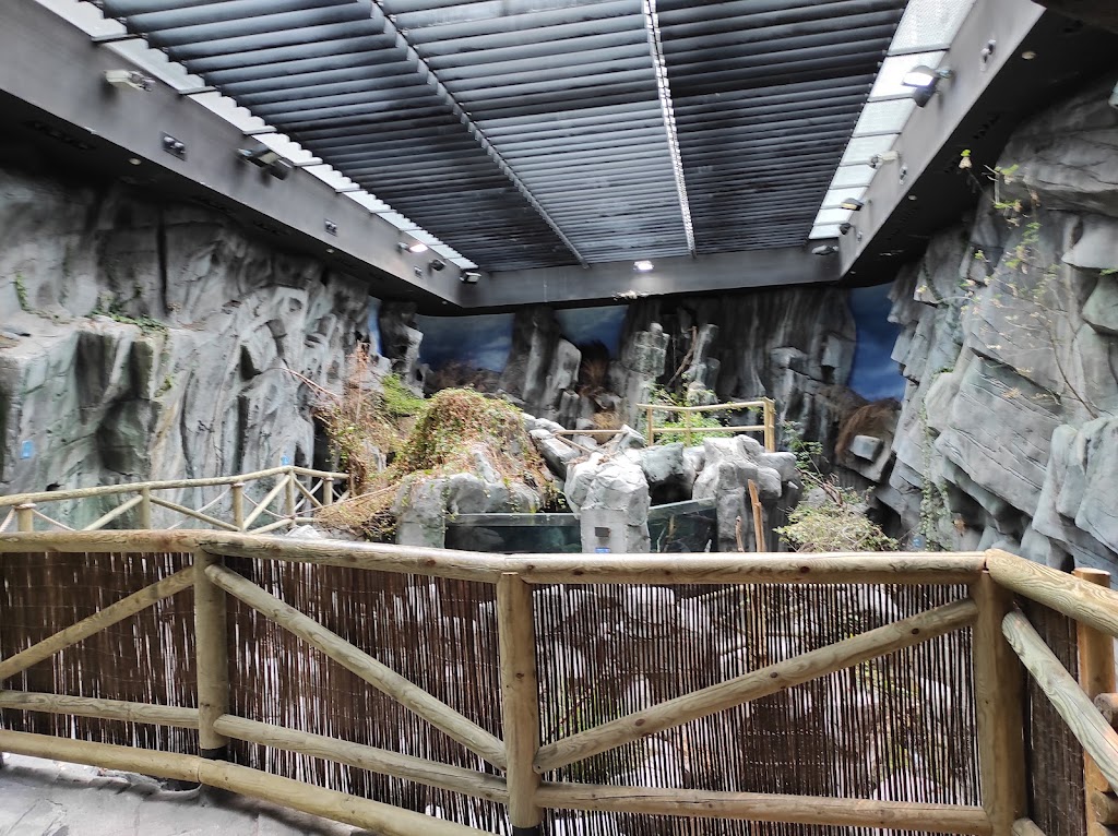 BIOPARC Acuario de Gijón - Foto 1