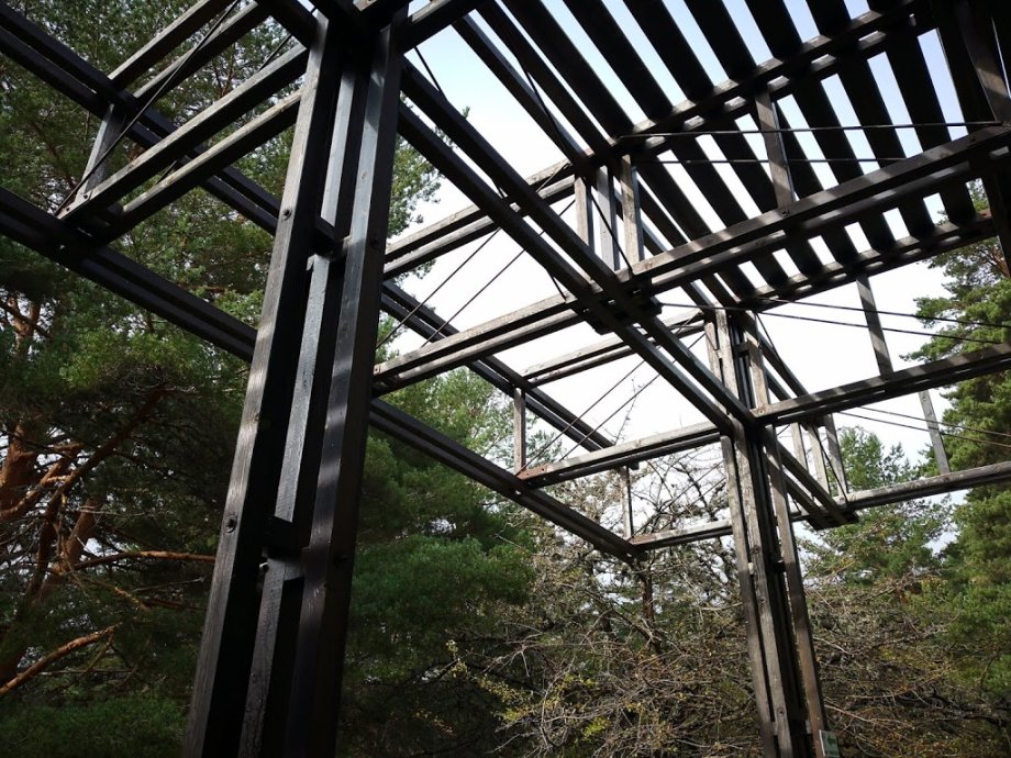 Aventura Amazonia - Foto 7