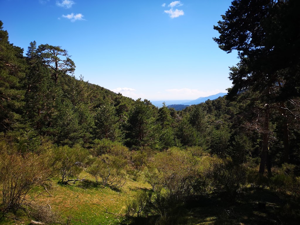 Aventura Amazonia - Foto 1