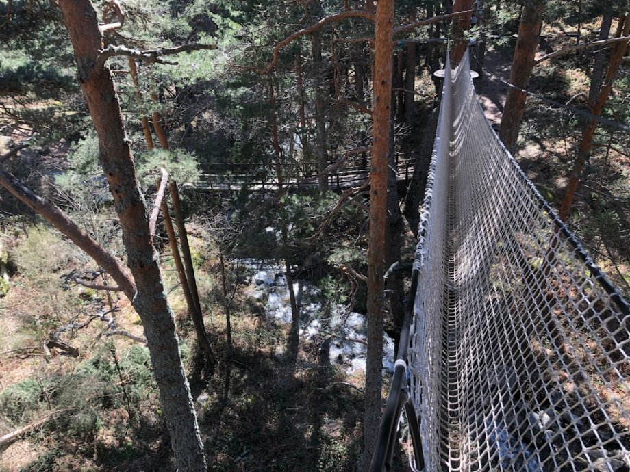 Aventura Amazonia - Foto 13