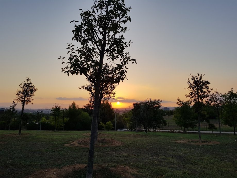 Zona infantil del Parque Turó de Can Mates - Foto 3