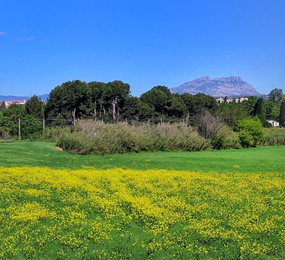 Zona infantil del Parque Turó de Can Mates - Foto 4