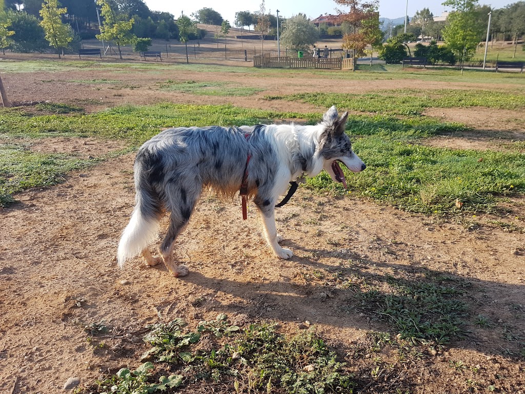Zona infantil del Parque Turó de Can Mates - Foto 1