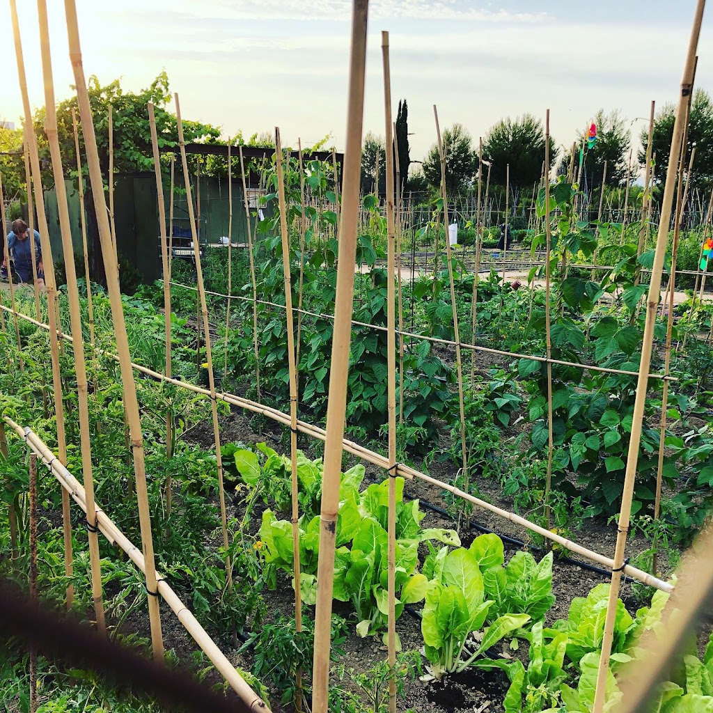 Zona infantil del Parque Turó de Can Mates - Foto 1