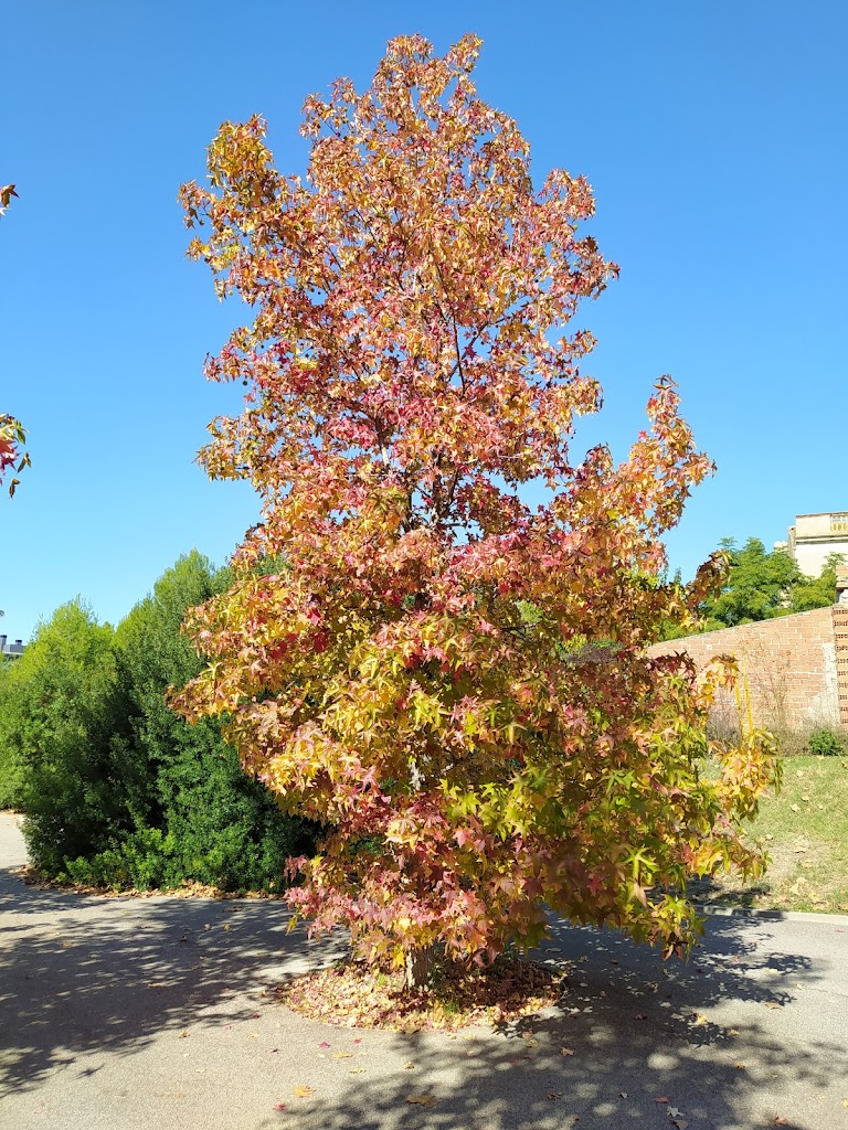 Zona infantil del Parque Turó de Can Mates - Foto 7