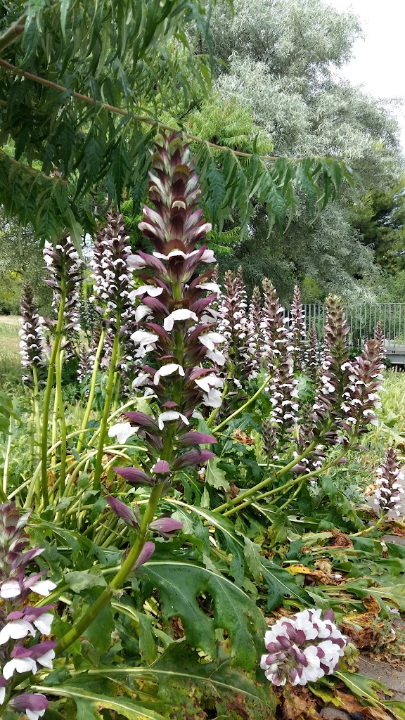 Zona infantil del Parque Turó de Can Mates - Foto 1