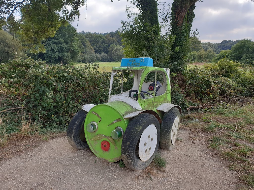 Ciudad de las Hormigas 14