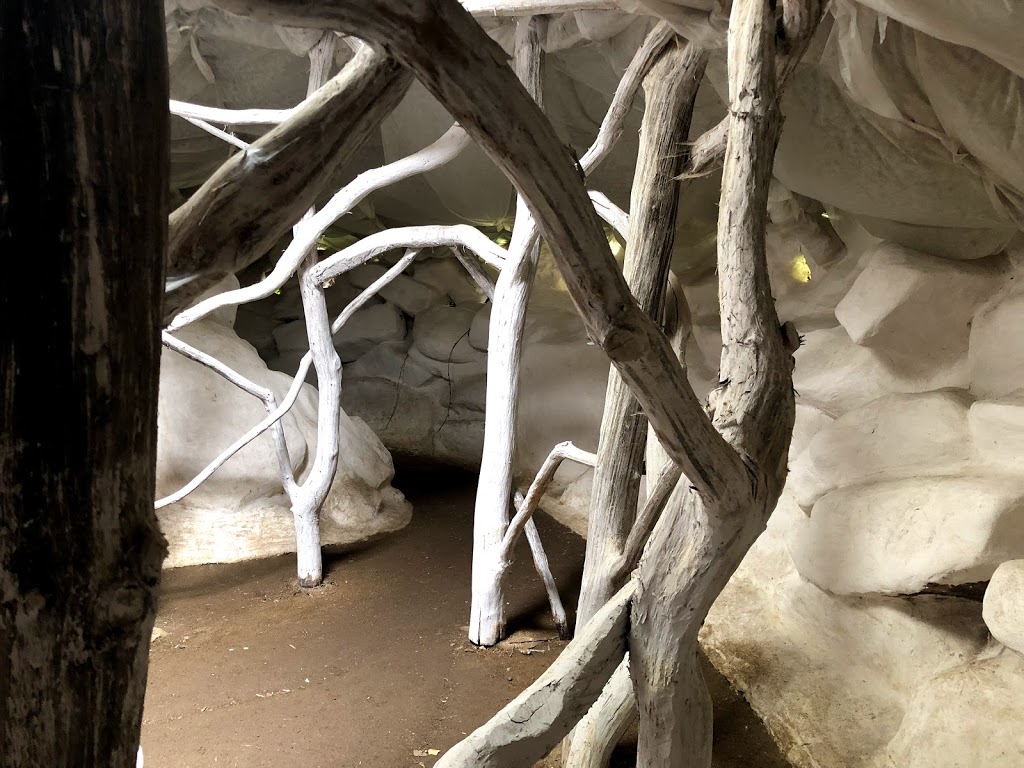 Ciudad de las Hormigas - Foto 1