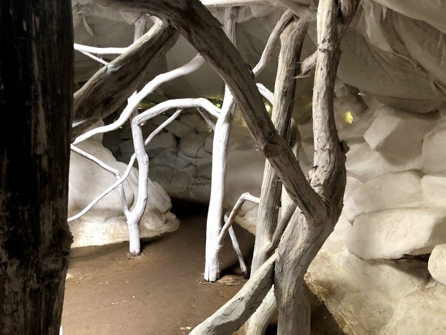 Ciudad de las Hormigas - Foto 7