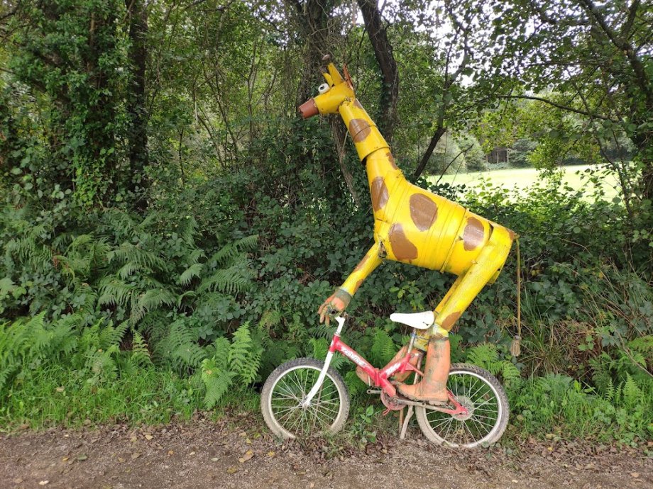 Ciudad de las Hormigas - Foto 17