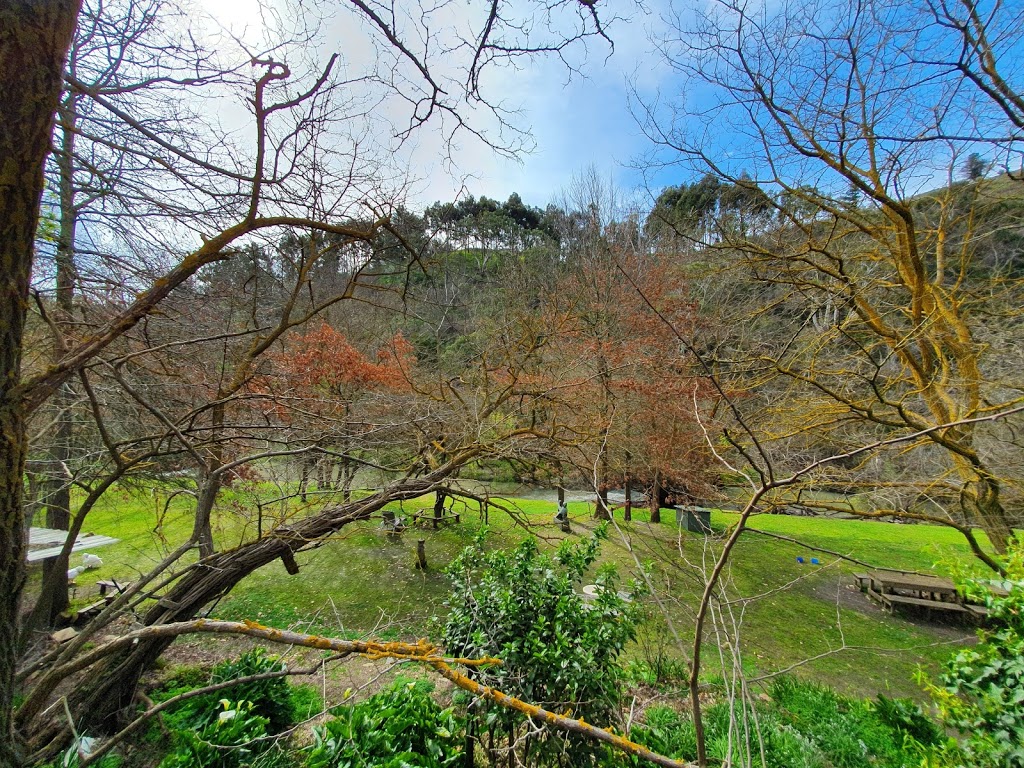 The Cudlee Cafe - Foto 1