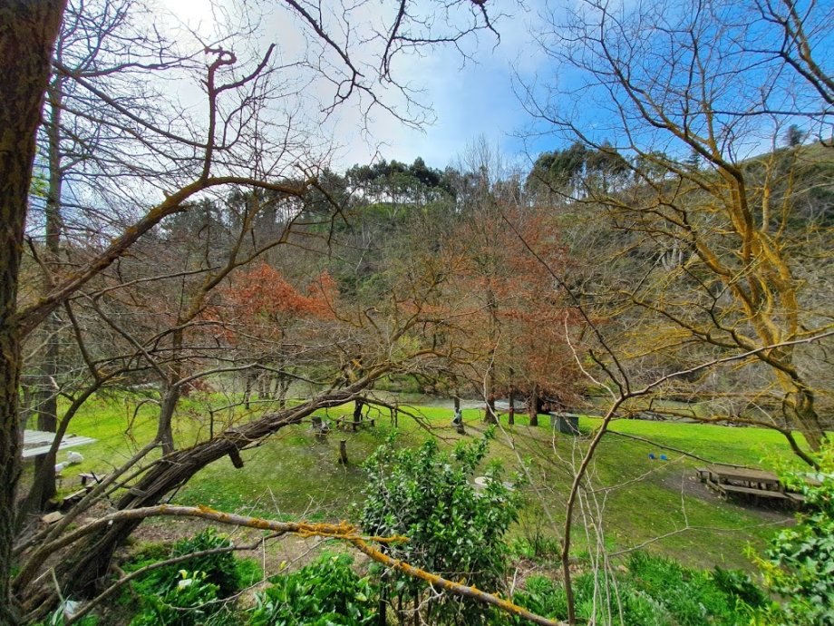 The Cudlee Cafe - Foto 11