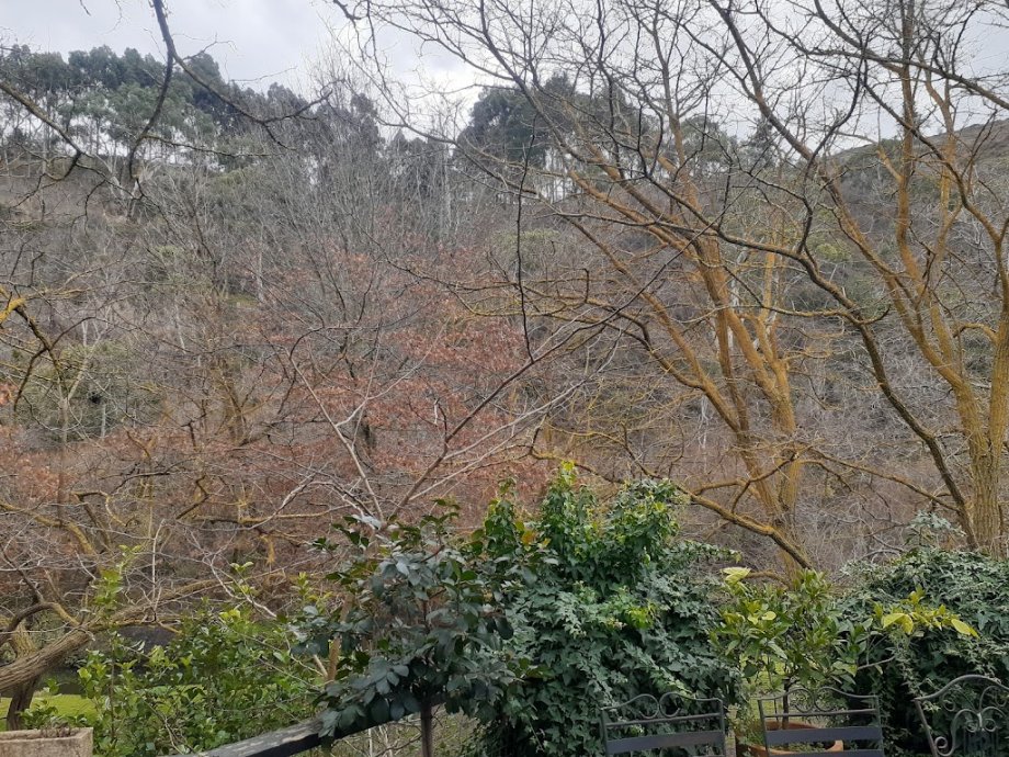 The Cudlee Cafe - Foto 18