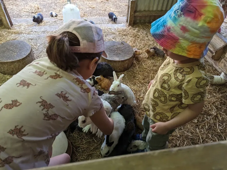 Animal Farm Goolwa - Foto 7