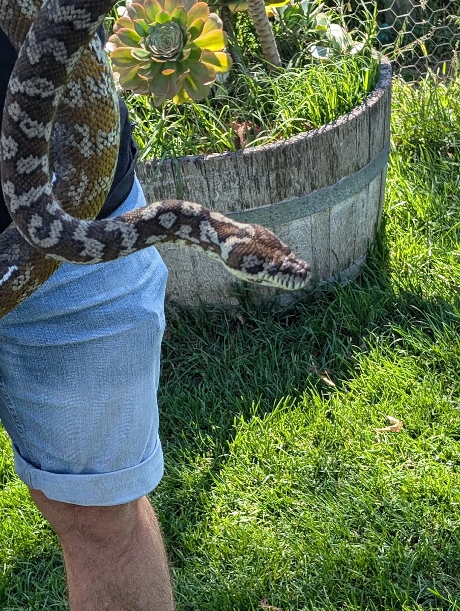 Animal Farm Goolwa - Foto 8