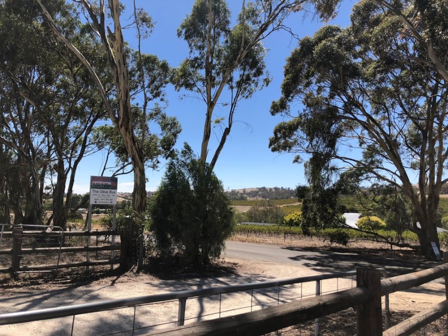 Olive Bus Clare - Foto 6