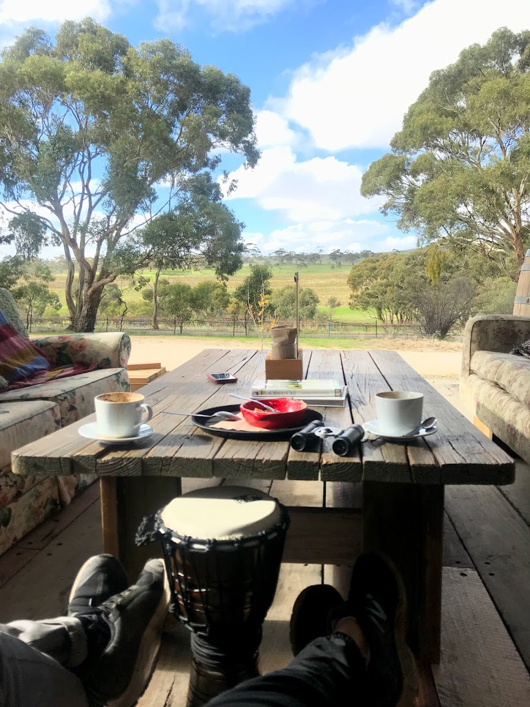 Olive Bus Clare - Foto 16