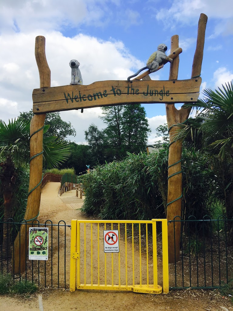 Woking Park Playground - Foto 1