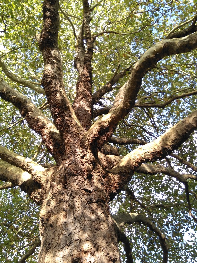 Woking Park Playground - Foto 1