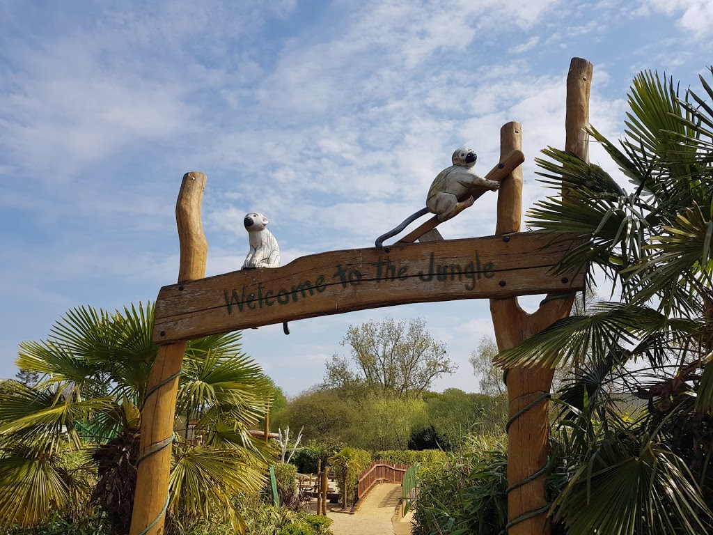 Woking Park Playground - Foto 1