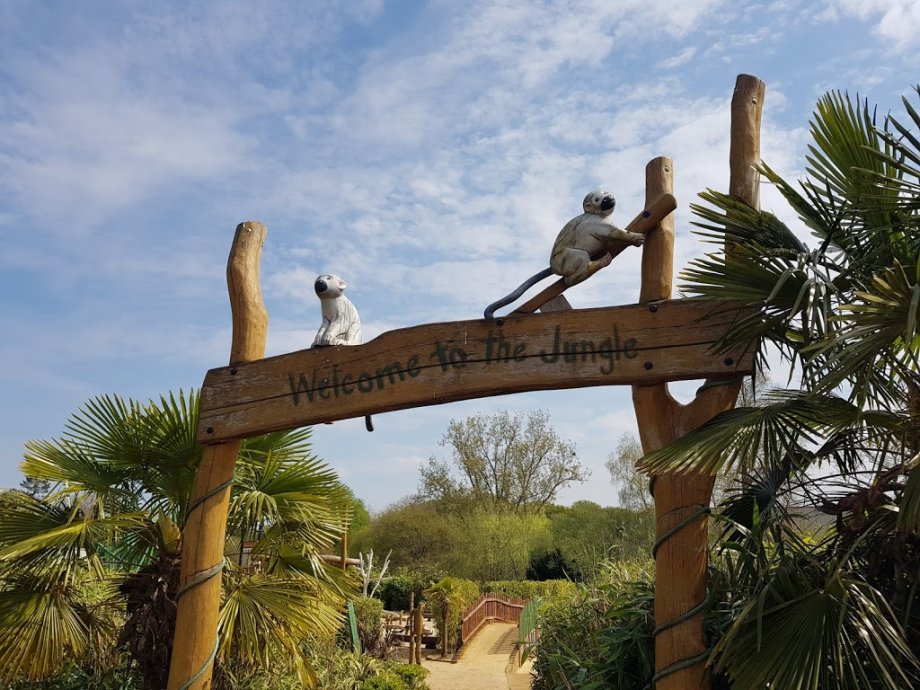 Woking Park Playground - Foto 9