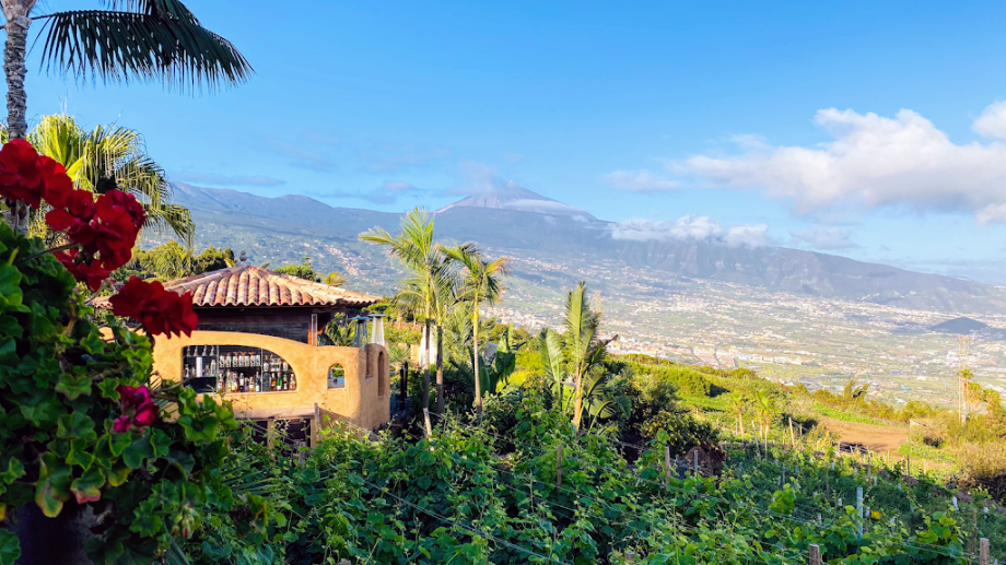 Bodegón Las Vistas - Foto 3