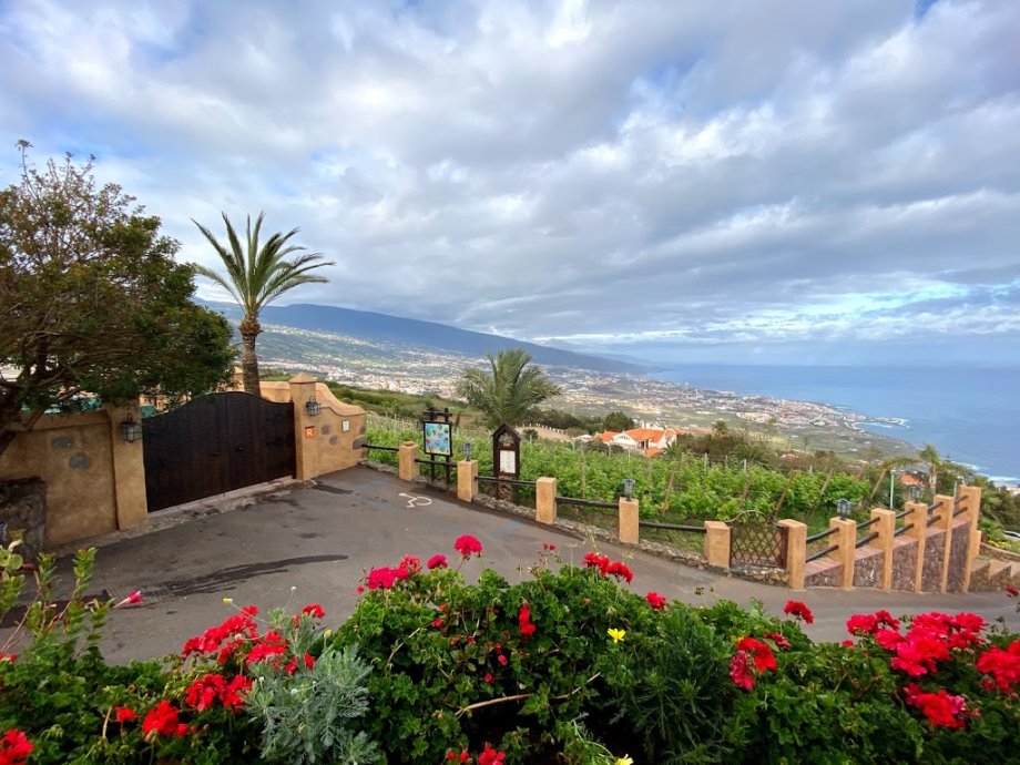 Bodegón Las Vistas - Foto 4