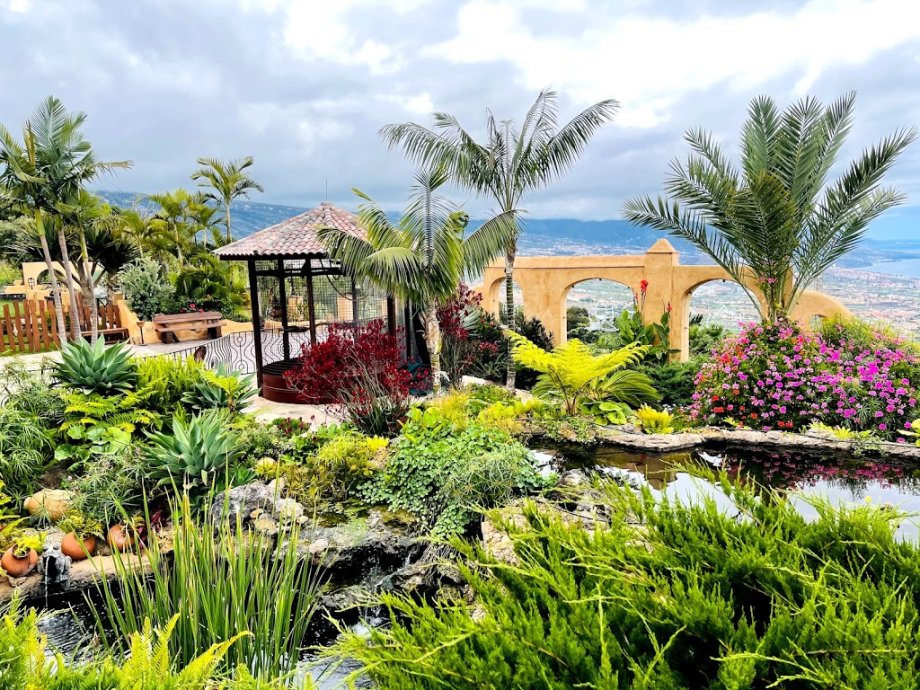 Bodegón Las Vistas - Foto 17