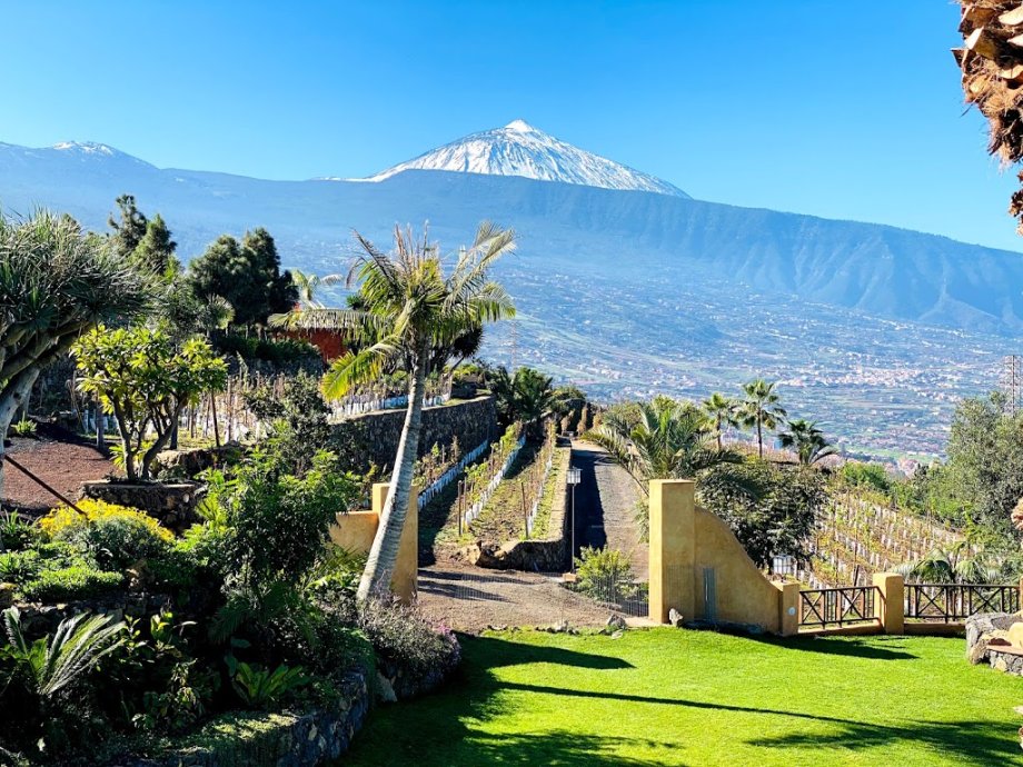 Bodegón Las Vistas - Foto 18