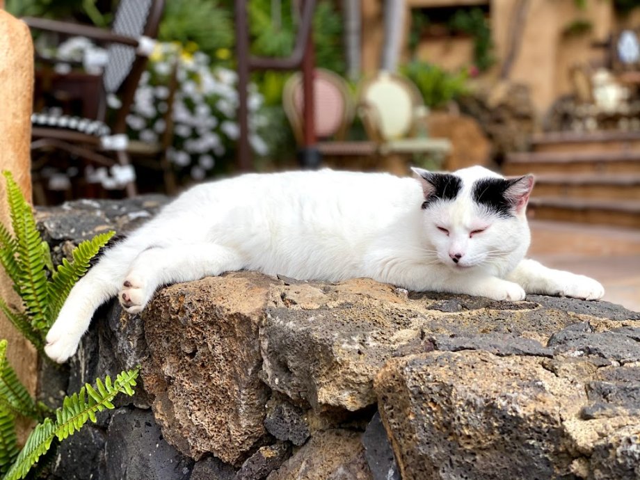 Bodegón Las Vistas - Foto 19