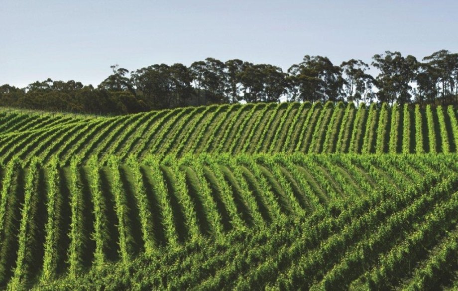 Sidewood Estate - Foto 9