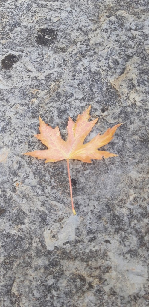 Parque Loiu - Foto 7