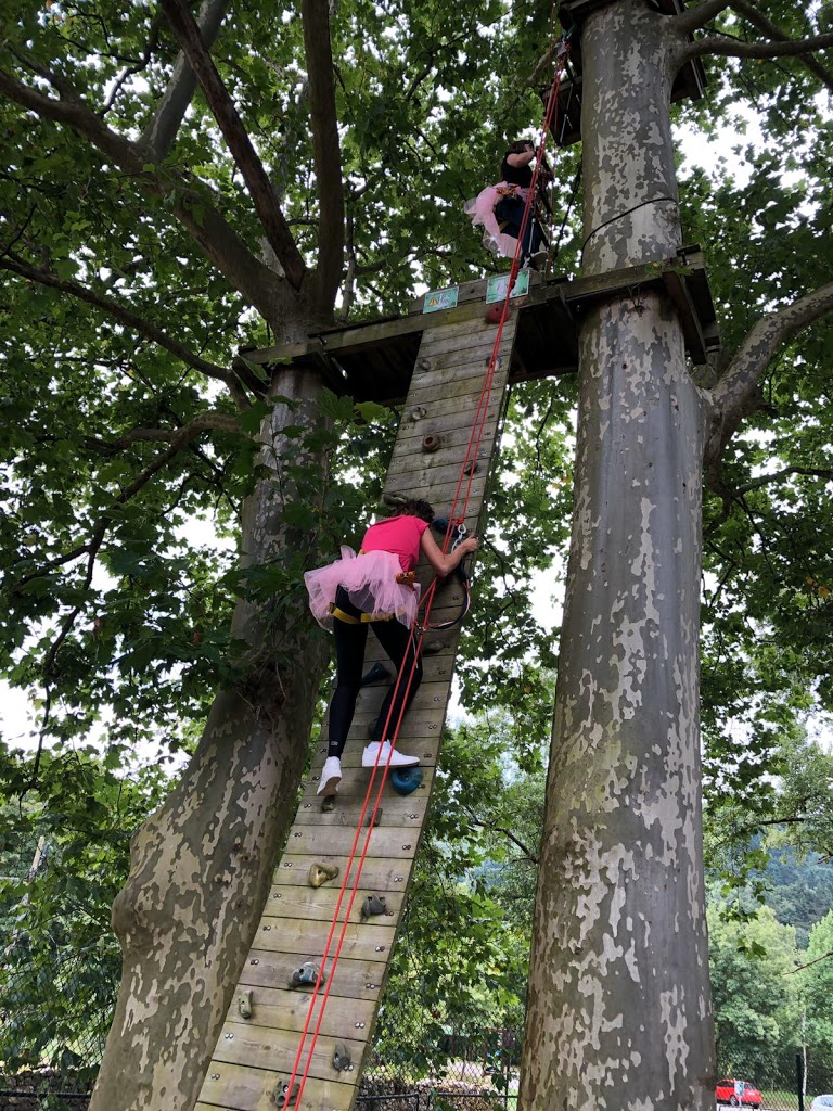 Alceda Aventura - Foto 5