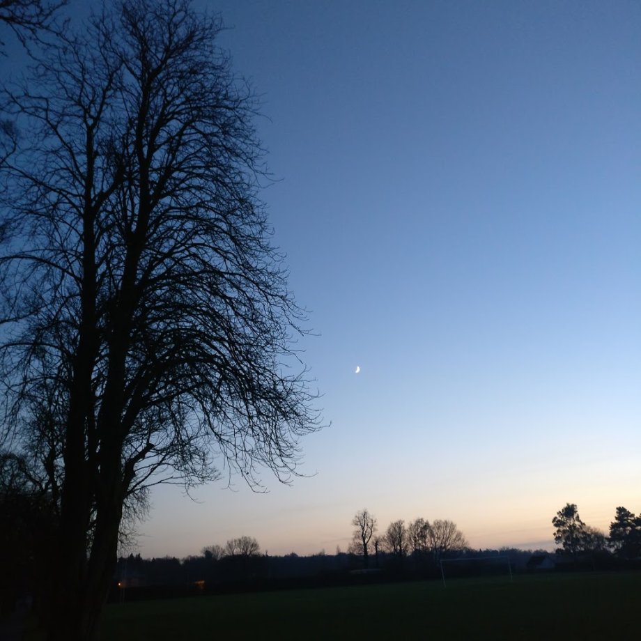 Queens Park - Foto 3