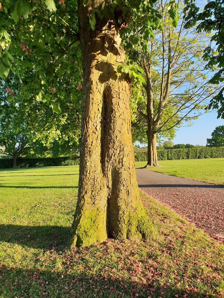 Queens Park - Foto 1