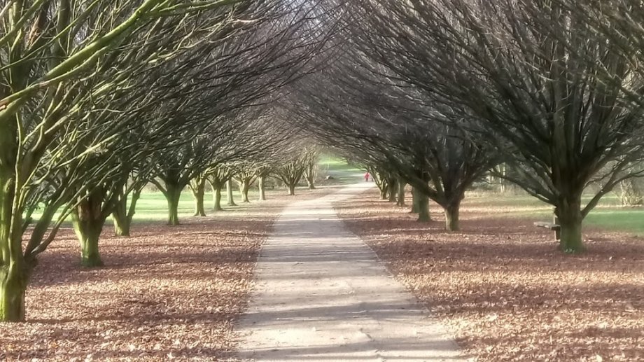 Cobtree Manor Park - Foto 3